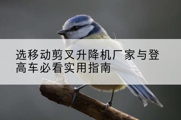 乐昌电动升降机厂家-选移动剪叉升降机厂家与登高车必看实用指南