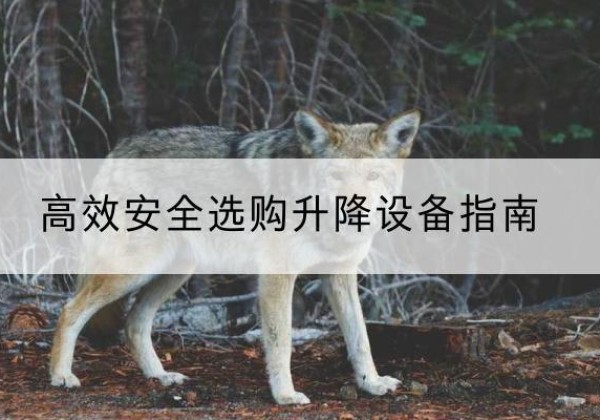 乐昌升降货梯厂家推荐-*安全选购升降设备指南