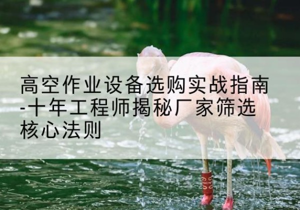 乐昌剪叉式升降机厂家-高空作业设备选购实战指南-十年工程师揭秘厂家筛选核心法则
